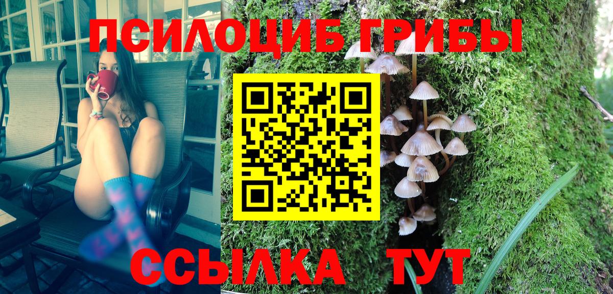 как найти закладки  Вход с VPN  Людиново  Галлюциногенные грибы Magic Shrooms 